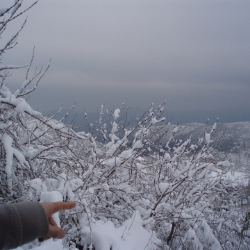winter_13